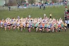 Womens under-20s 2016 Inter Counties Cross Country Champs. and Cross Challenge Final, Cofton Park, Birmingham. Photo: David T. Hewitson/Sports for All Pics